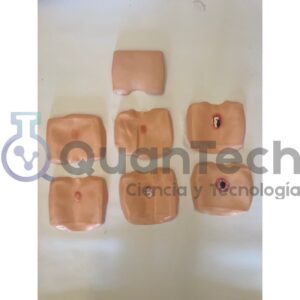 MODELO DE ATENCION DE ULCERAS POR DECUBITO EN 6 ETAPAS