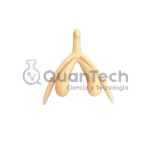 MODELO ANATOMICO DE CLÍTORIS-EDUCACION SEXUAL