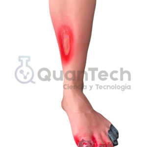 MODELO ANATOMICO DE PIE DIABETICO CON EXTENSION DE PIERNA