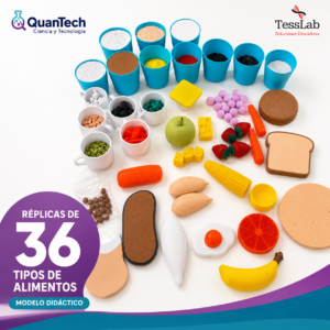 REPLICAS DE 36 TIPOS DE ALIMENTOS