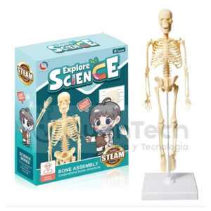 ESQUELETO HUMANO 35CM