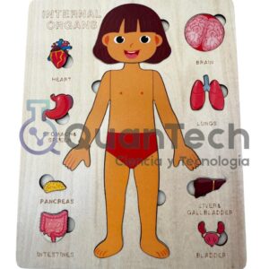 ROMPECABEZAS MONTESSORI DEL CUERPO HUMANO NIÑA
